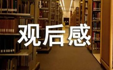 爱奋斗的你观后感精选8篇