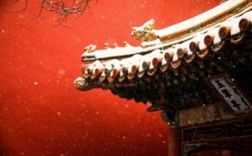 故宫介绍作文800字7篇