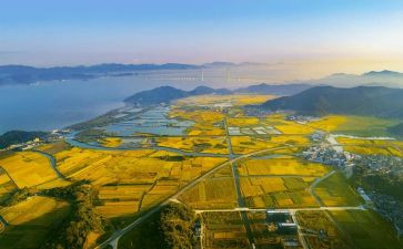 2023国土年度工作总结6篇