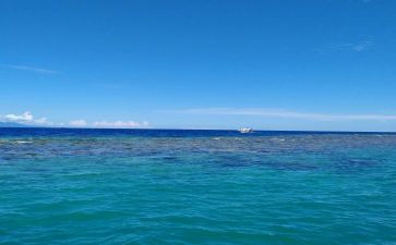 海胶业务员述职报告模板7篇