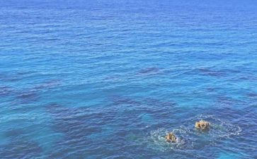 海胶业务员述职报告8篇