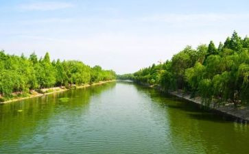河长个人工作总结述职报告5篇