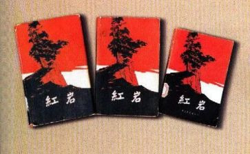 红岩读后感600字作文8篇