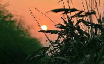 怀念秋天的读后感7篇