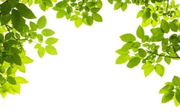 11安全环保工作计划6篇
