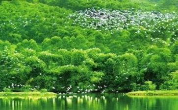 优环境演讲稿通用5篇