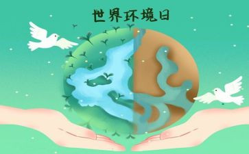 65环境日活动方案7篇