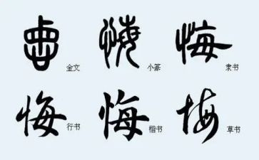 我后悔了作文600作文5篇