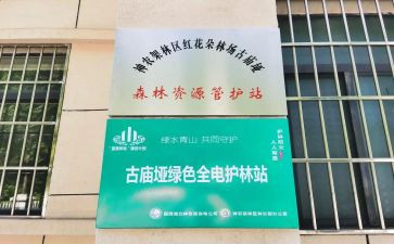 护林站年终工作总结8篇