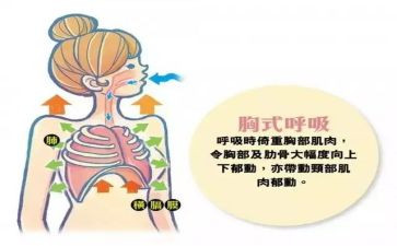 呼吸科进修自我鉴定优秀7篇