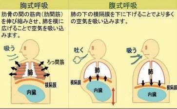 呼吸科护士的自我鉴定6篇