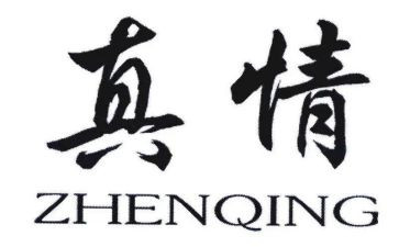 真情的感动的作文5篇