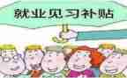 见习个人工作总结5篇