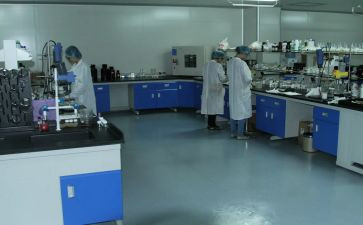 检验室年终工作总结5篇