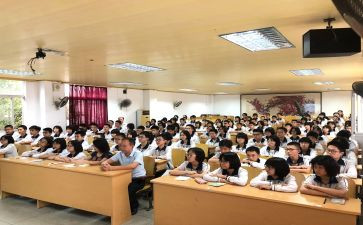 2023年小学政教处工作总结8篇