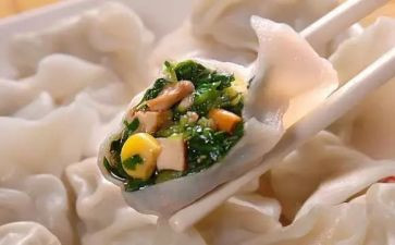 饺子活动总结8篇