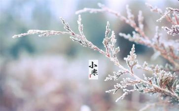 节气的作文优质7篇
