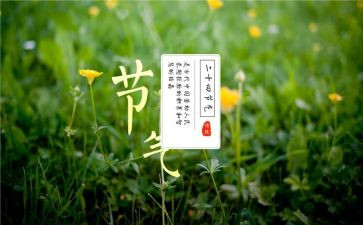节气的作文最新8篇