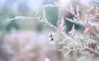 节气的作文优质7篇