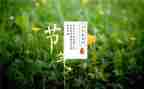 节气的作文最新8篇