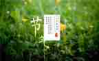 中班24节气教案8篇
