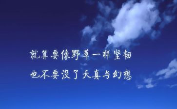牛的精神的作文通用5篇