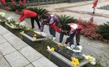 小学祭扫清明节活动方案7篇