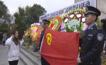烈士陵园祭扫活动方案7篇