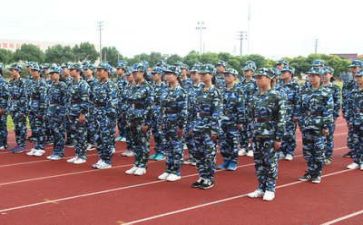 军训十四天心得体会500字6篇