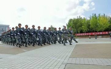 军训心得体会500作文7篇