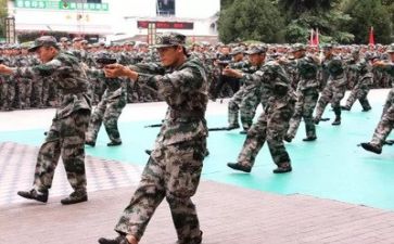 《军训心得体会》500字模板8篇