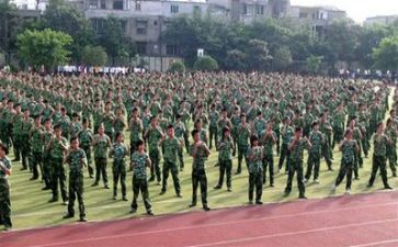 军训心得体会500作文最新7篇