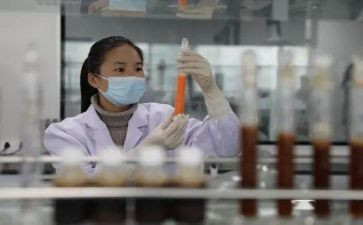 软件开发员个人总结6篇