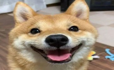 我开心我难忘作文8篇