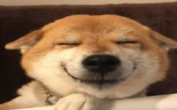 关于真开心的作文7篇