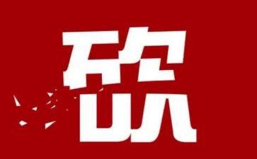 砍价的作文7篇