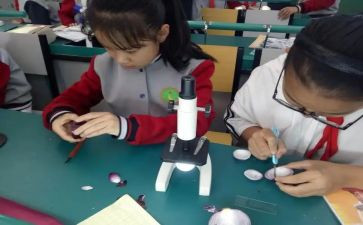 小学科学课教学总结通用6篇
