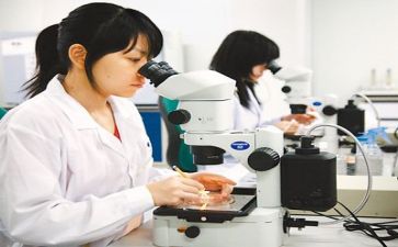 个人工作总结科研工作总结8篇