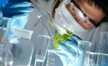 科研工作计划总结参考5篇