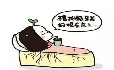 懒爸爸作文500字的作文通用7篇