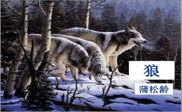 《狼》听课心得体会5篇
