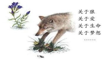 狼王梦心得优质8篇