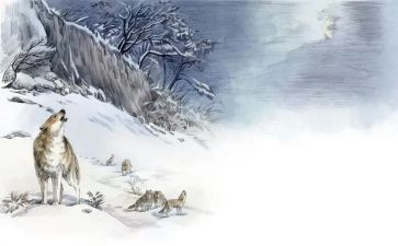 狼王梦心得体会6篇