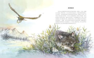 狼王梦心得体会参考8篇