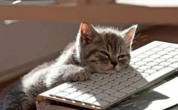 积累话题作文通用7篇