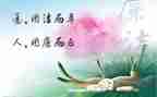 廉洁从税演讲稿精选5篇