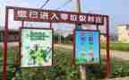 垃圾演讲稿优质7篇