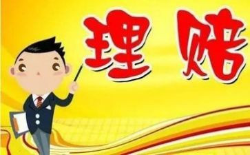 保险理赔员述职报告8篇
