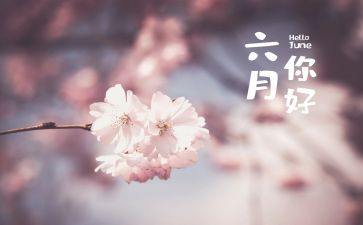 大班六月工作计划5篇