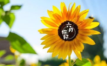 六月份幼儿工作计划5篇